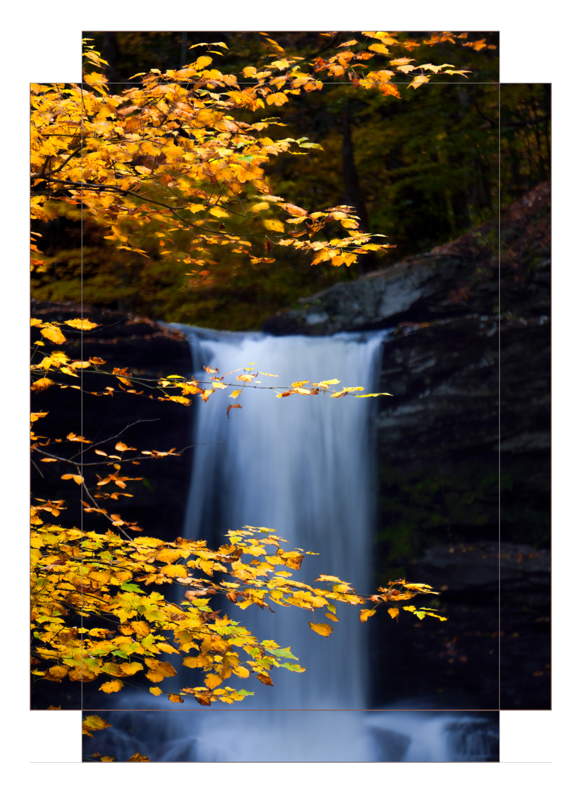 "Autumnal Falls"