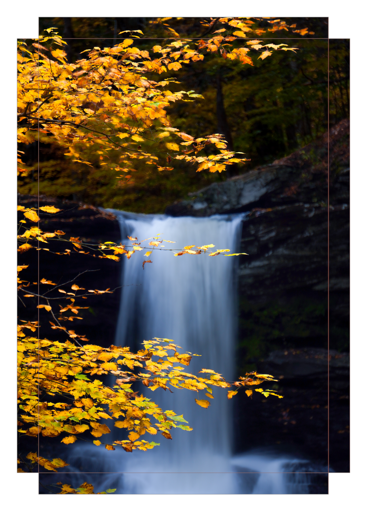 "Autumnal Falls"