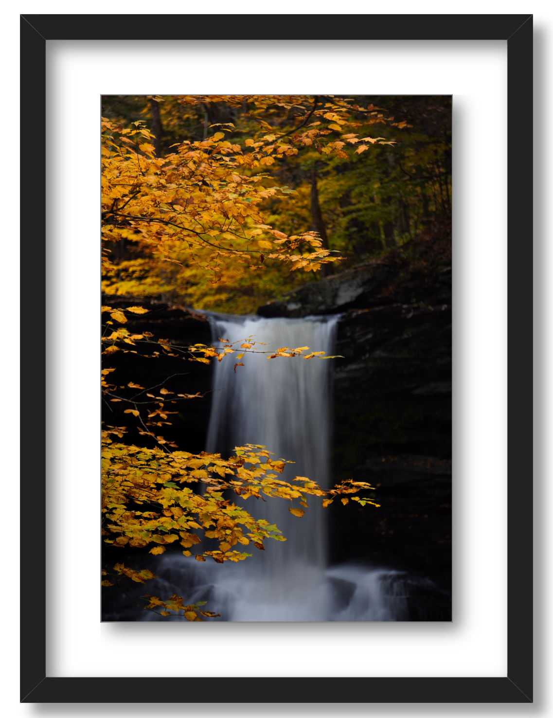 Autumnal Falls