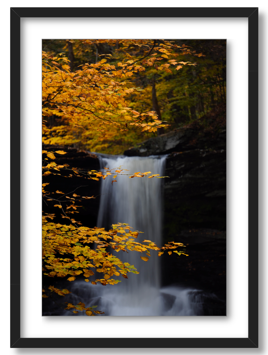 Autumnal Falls