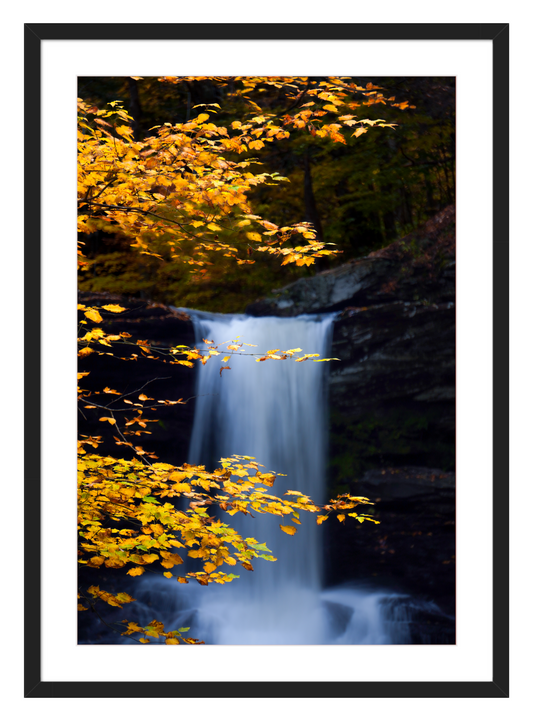 "Autumnal Falls"