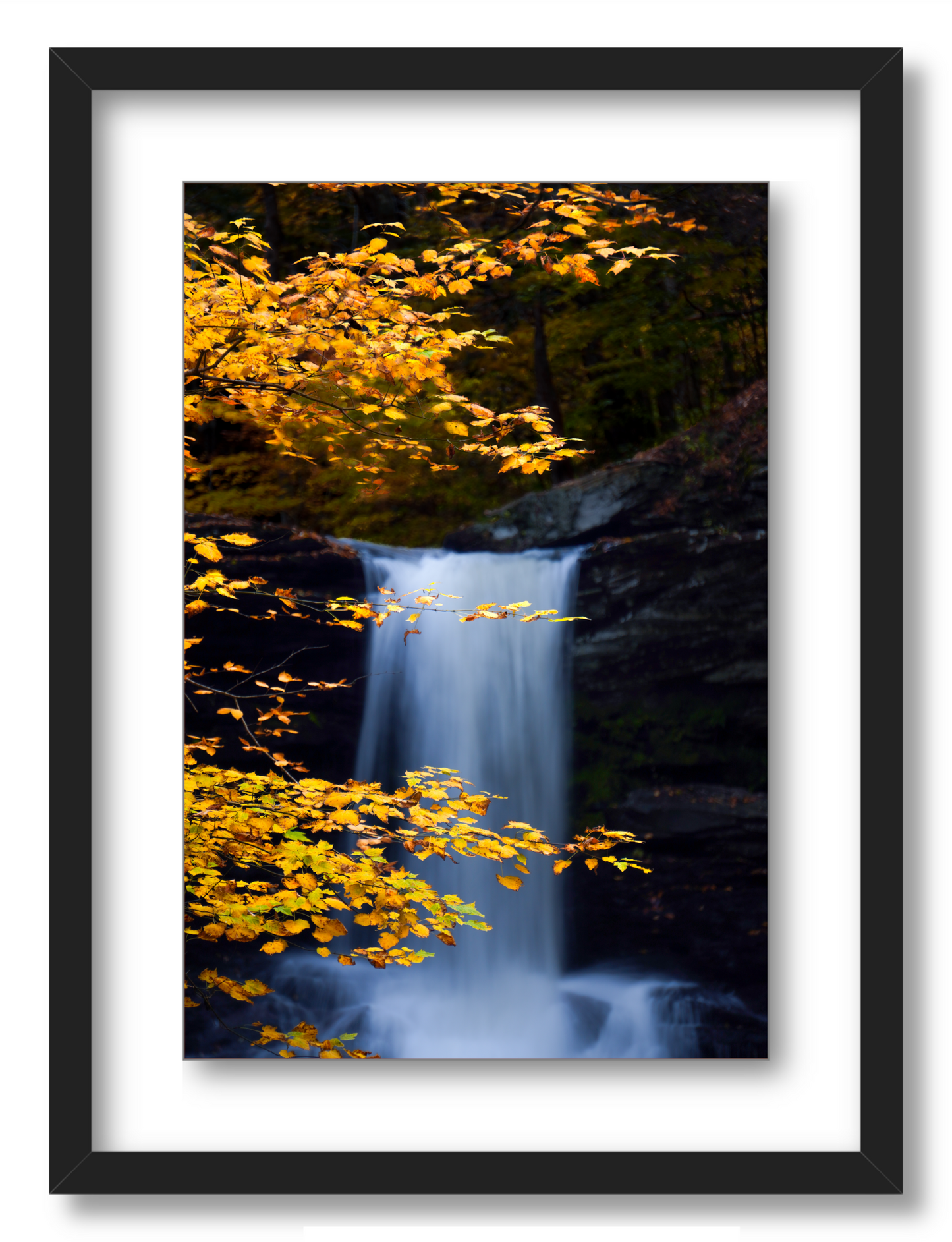 "Autumnal Falls"