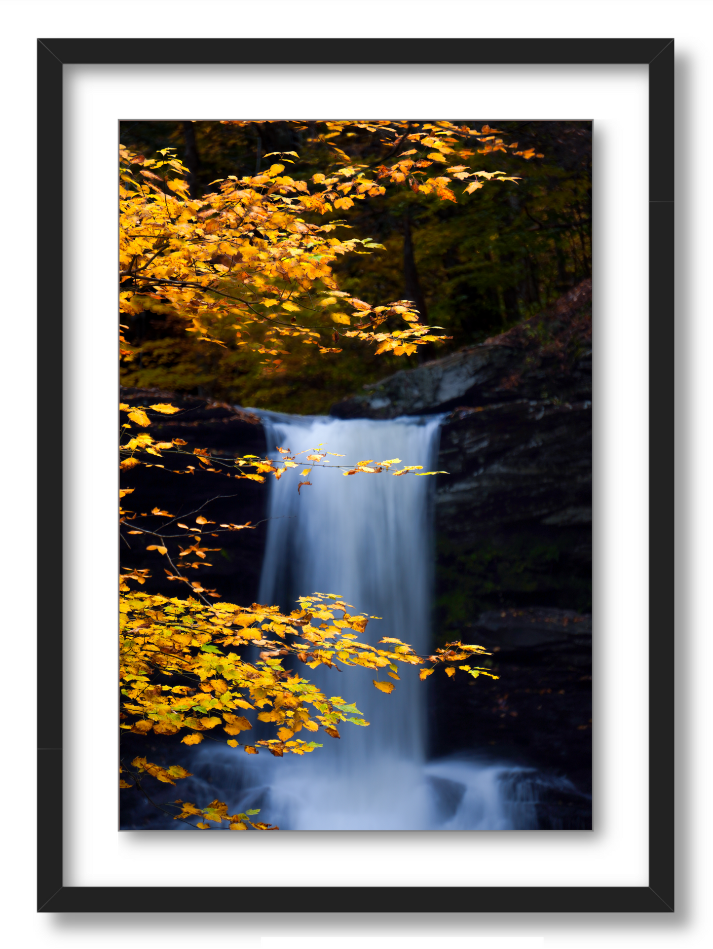 "Autumnal Falls"