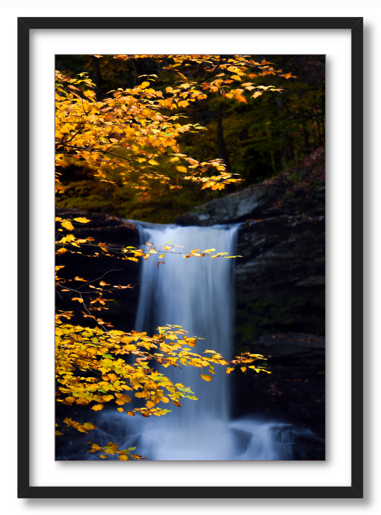 "Autumnal Falls"