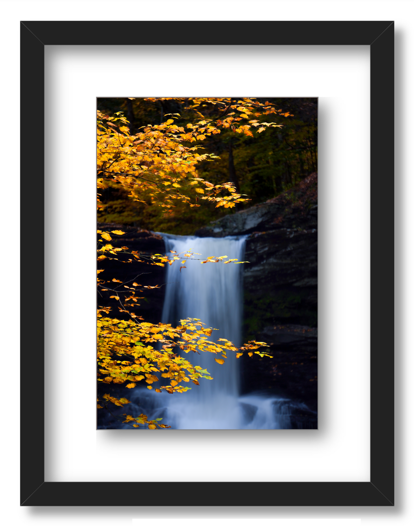 "Autumnal Falls"