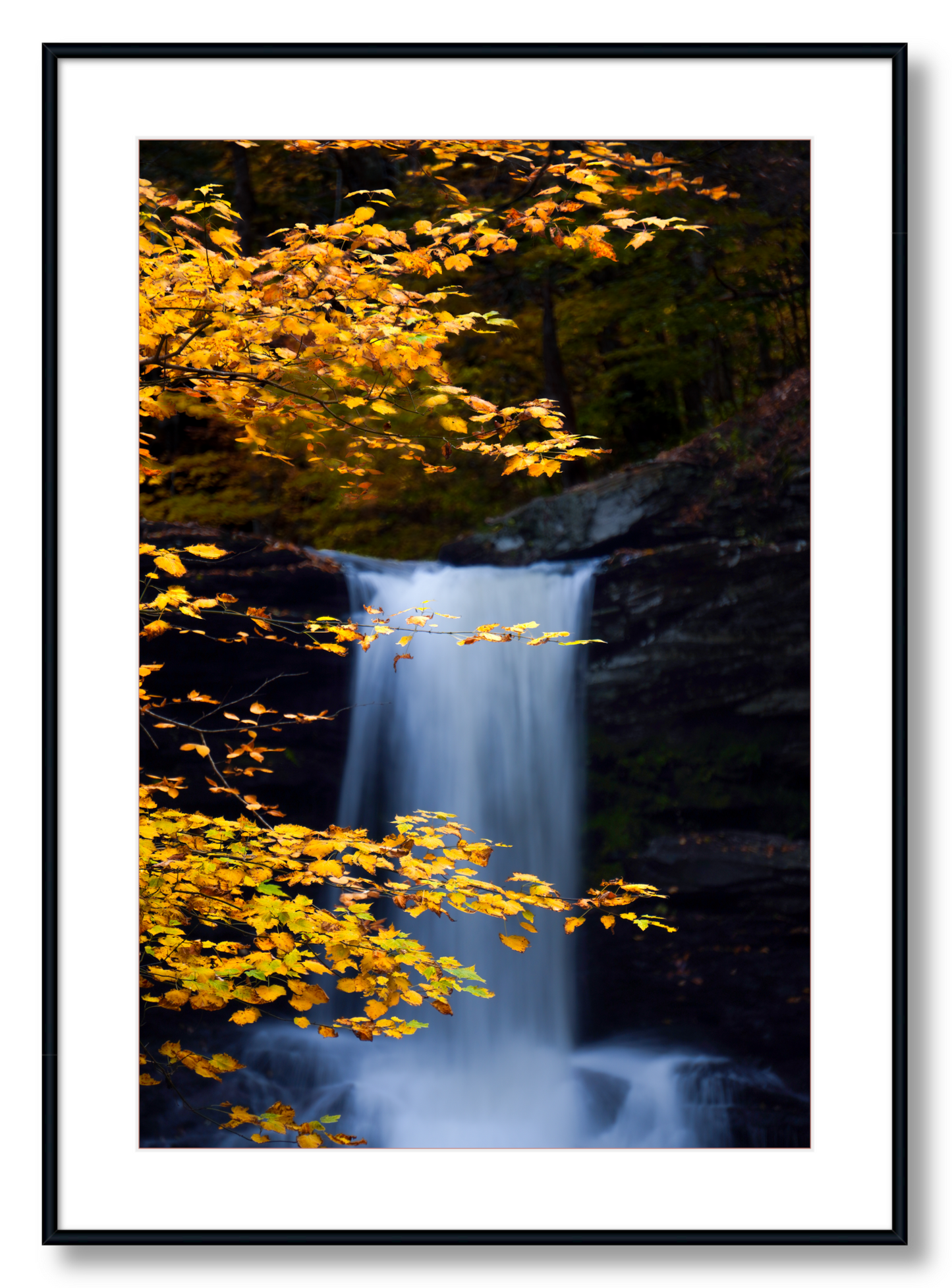 "Autumnal Falls"