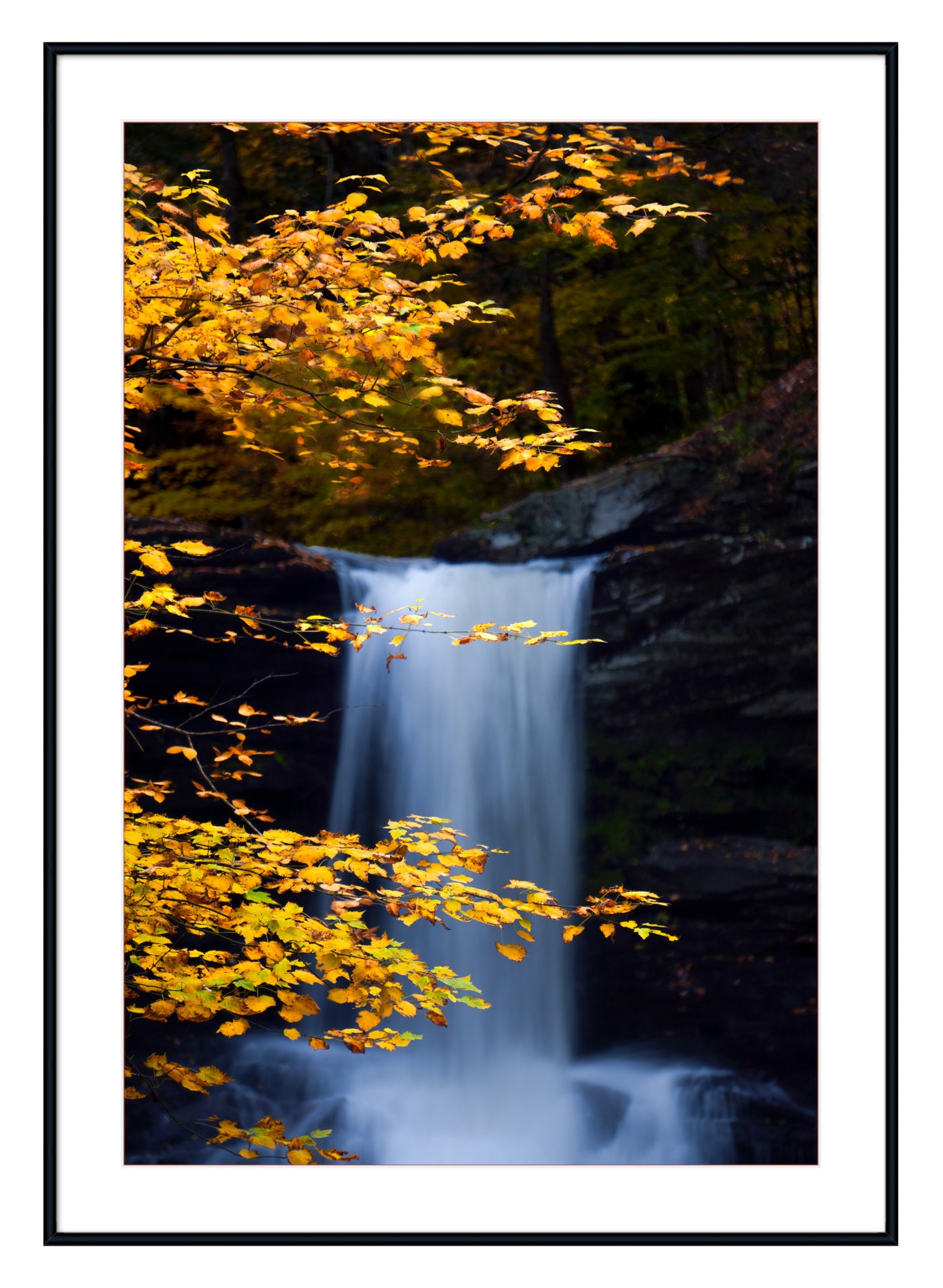 "Autumnal Falls"