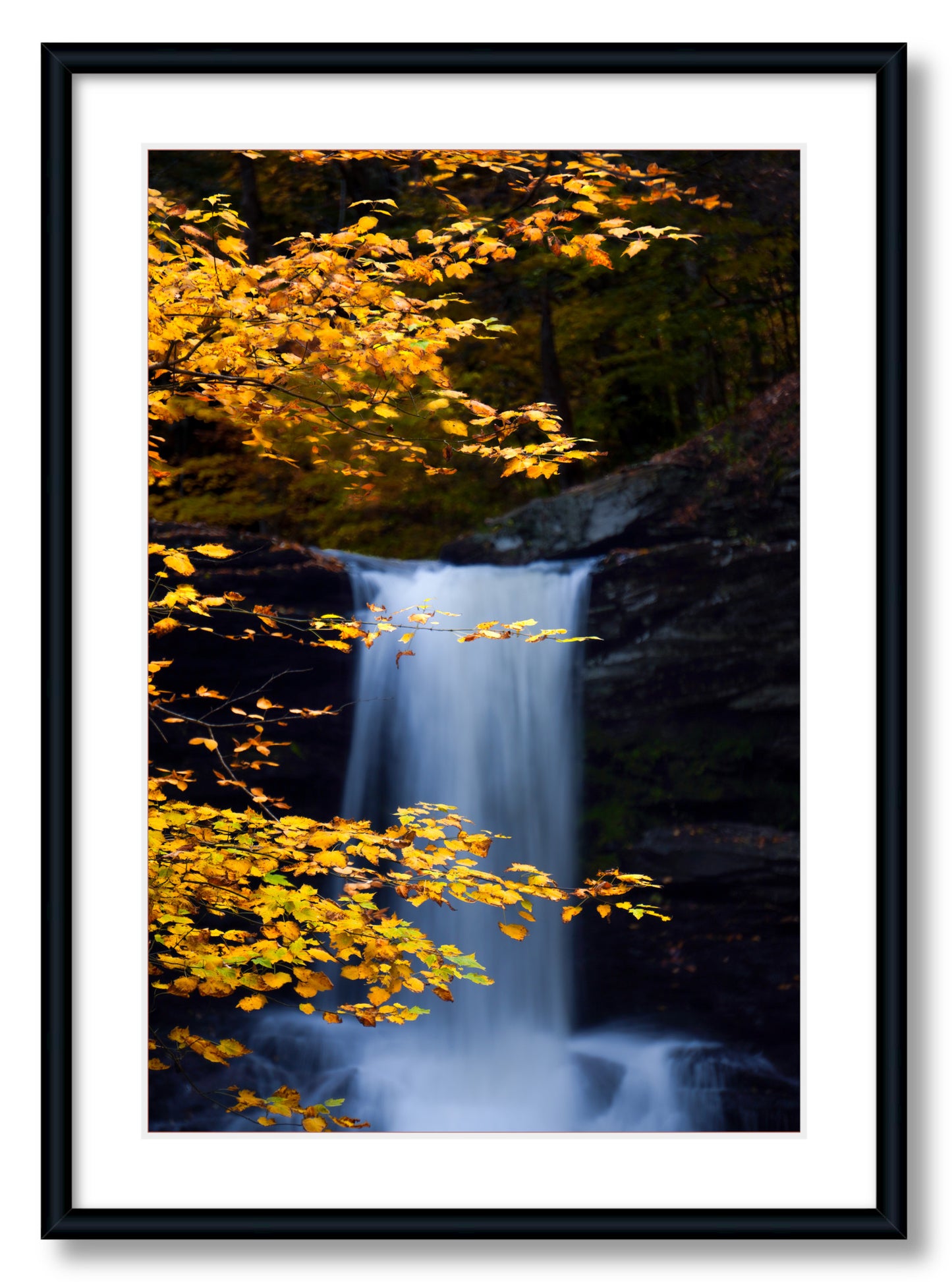 "Autumnal Falls"