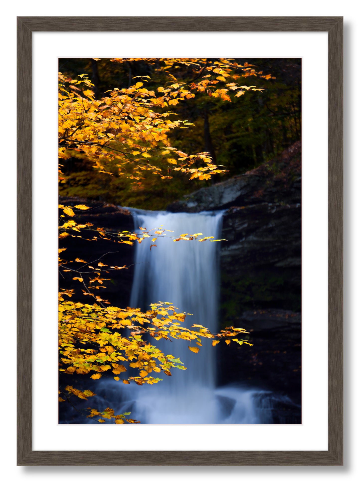 "Autumnal Falls"