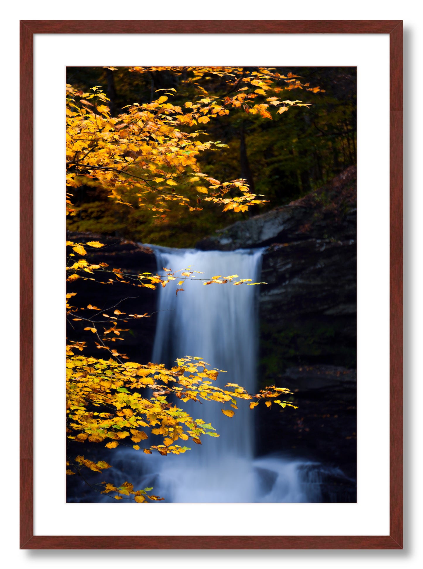 "Autumnal Falls"