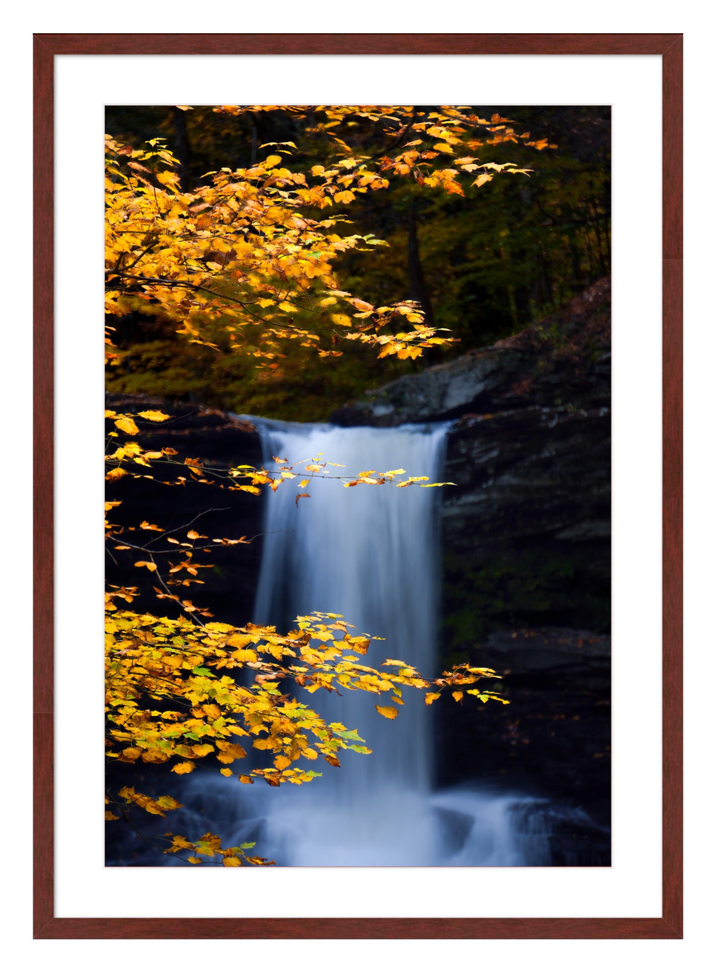 "Autumnal Falls"