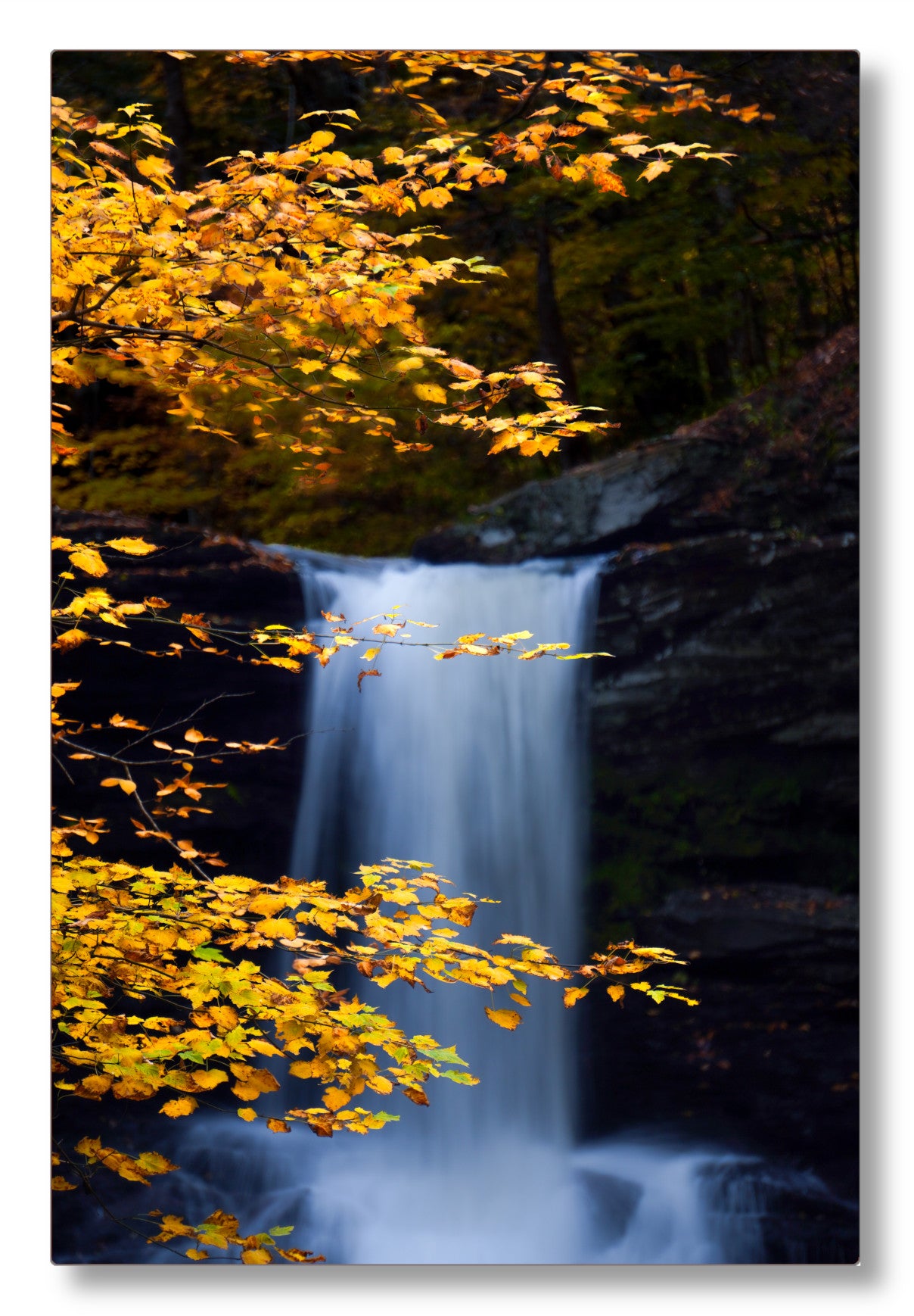 "Autumnal Falls"