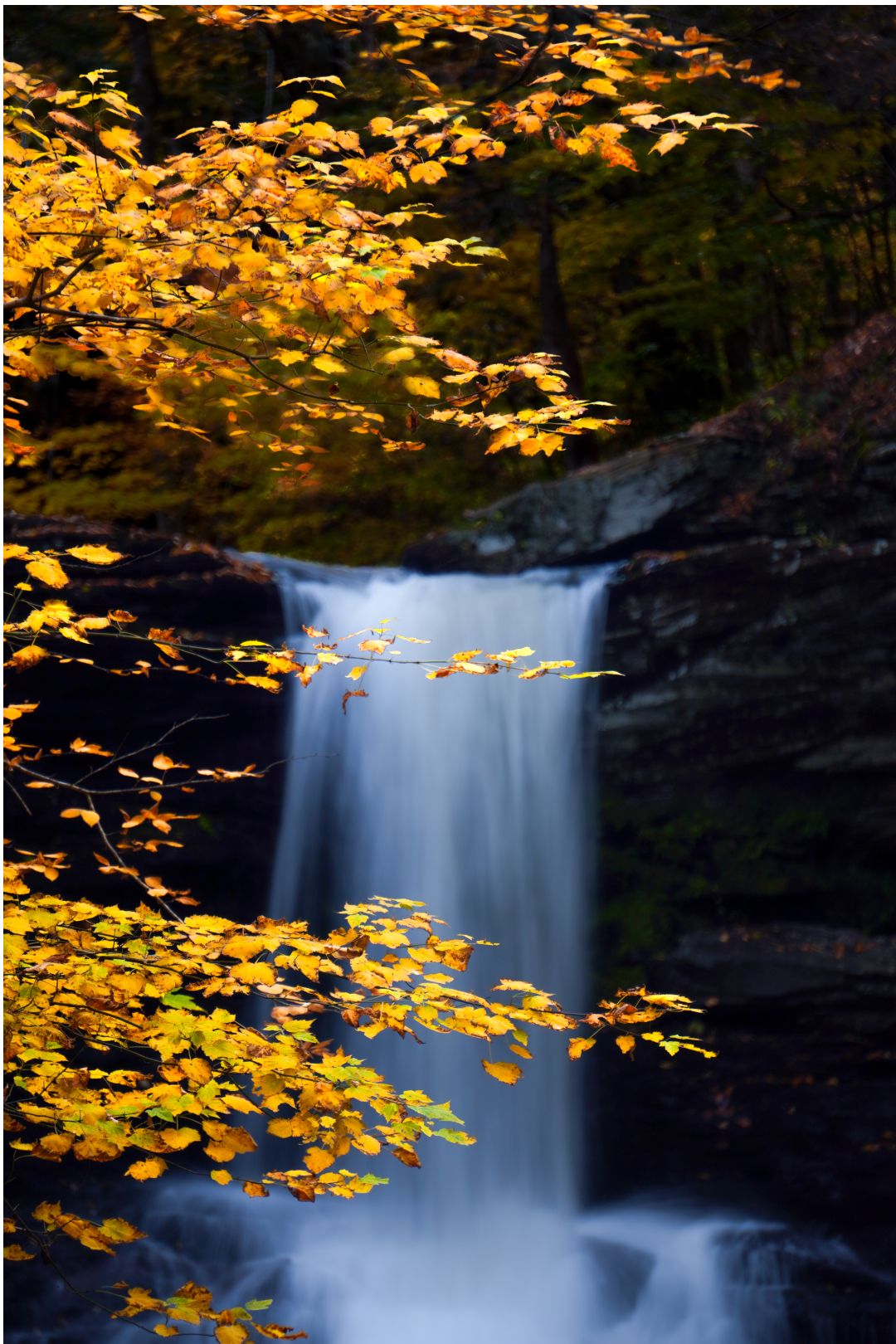 "Autumnal Falls"