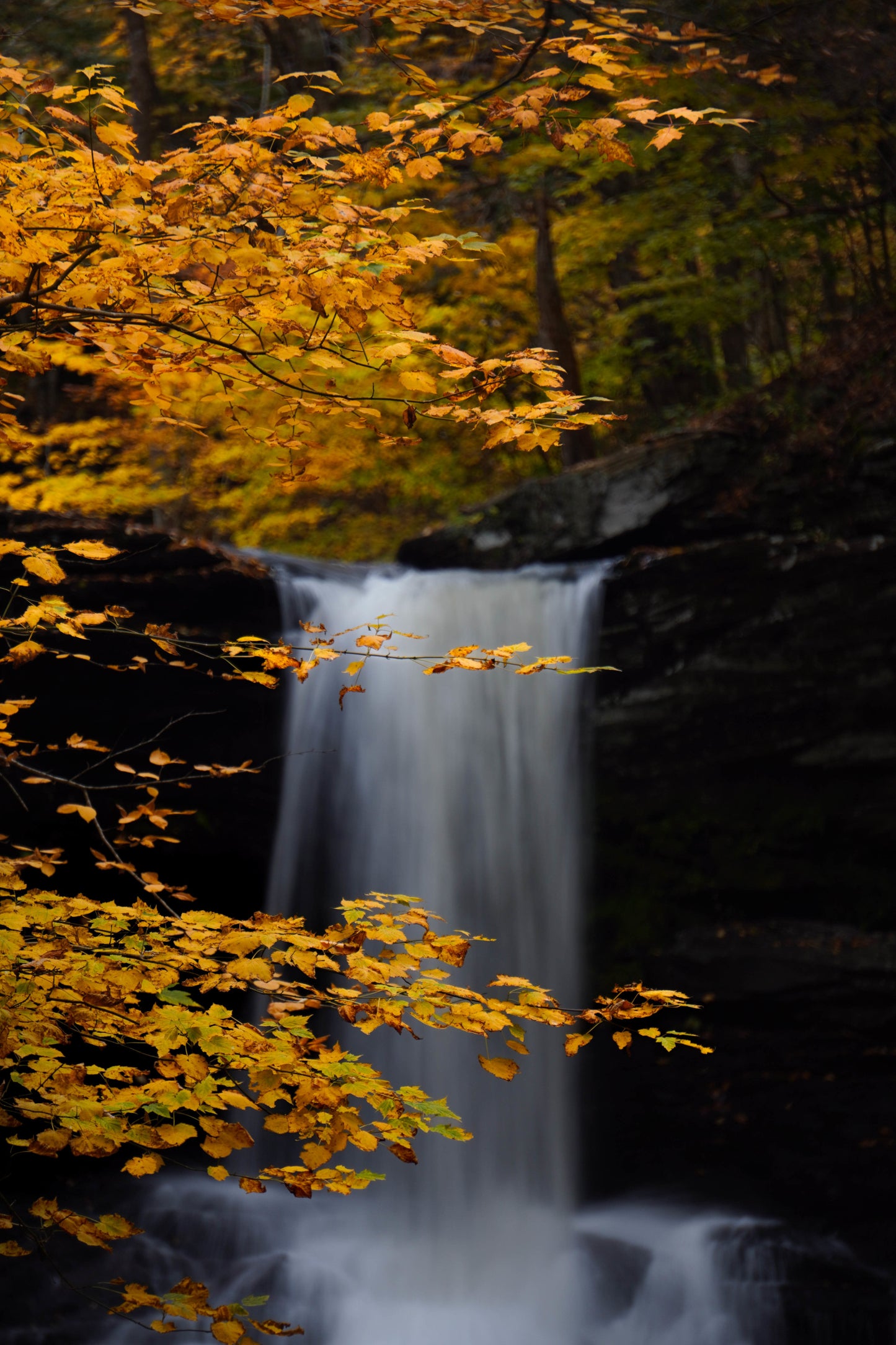 Autumnal Falls