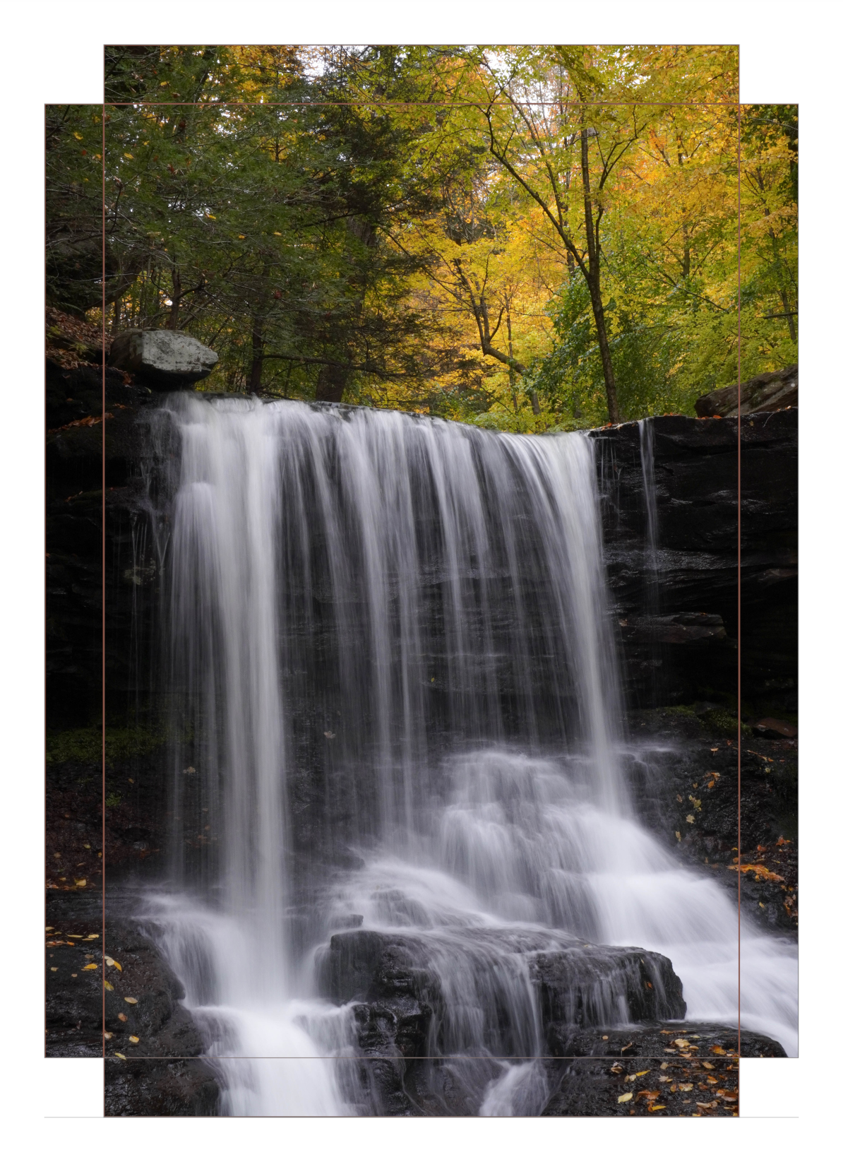 B. Reynolds Falls