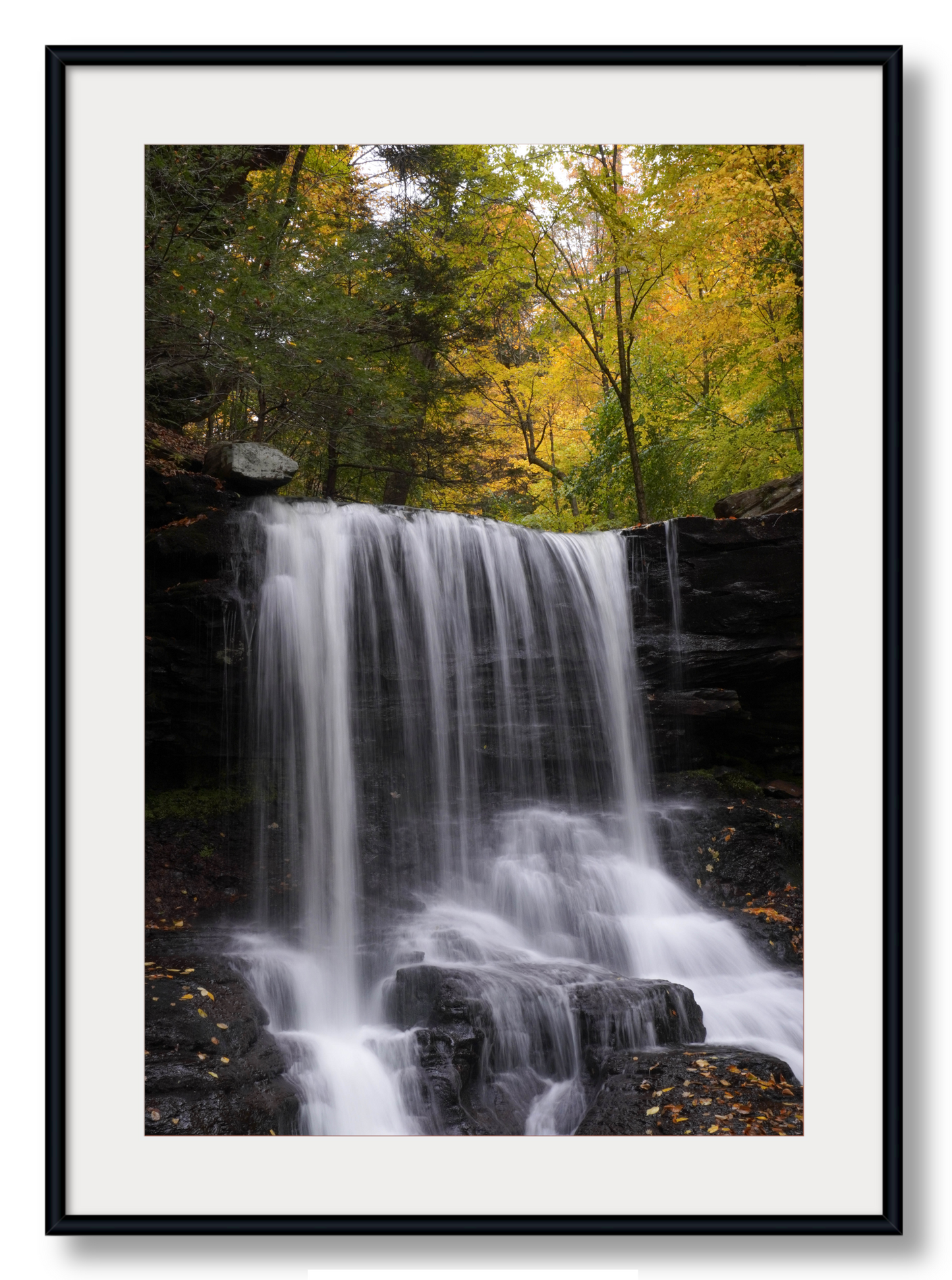 B. Reynolds Falls