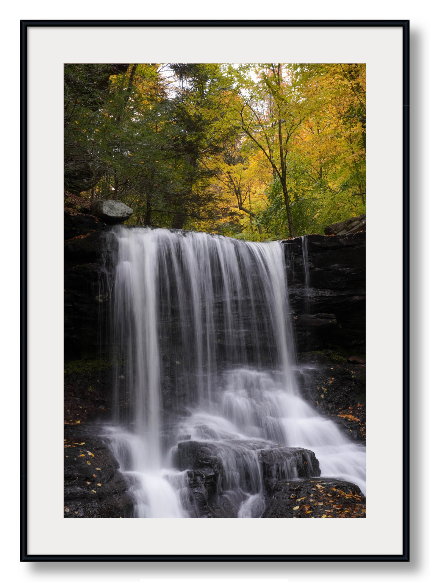 B. Reynolds Falls