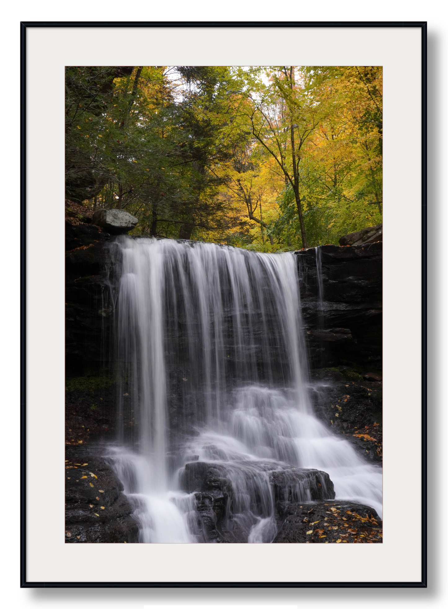 B. Reynolds Falls