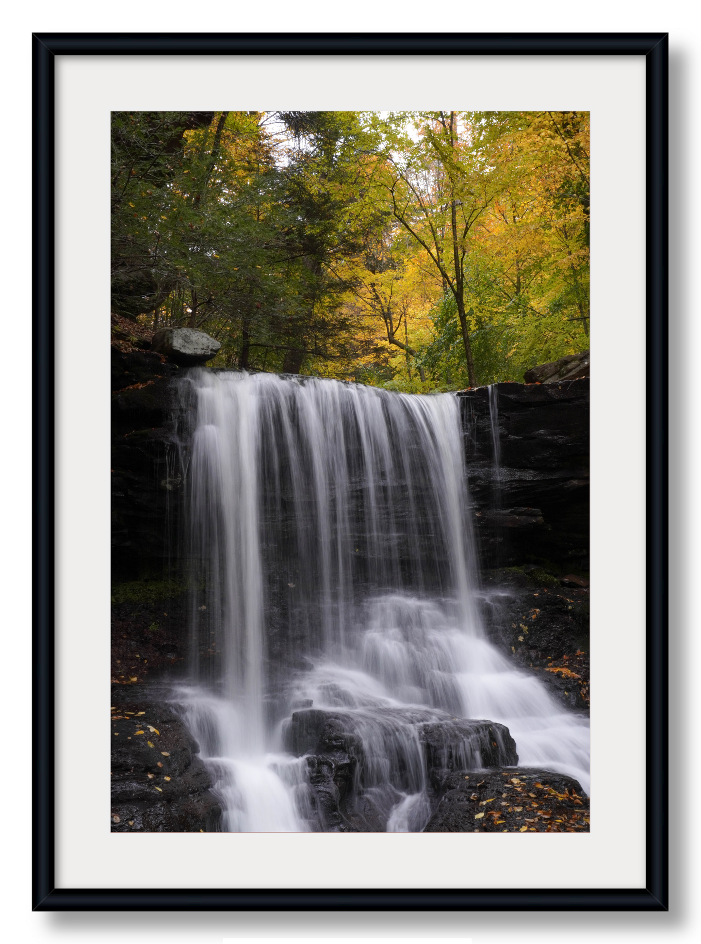 B. Reynolds Falls