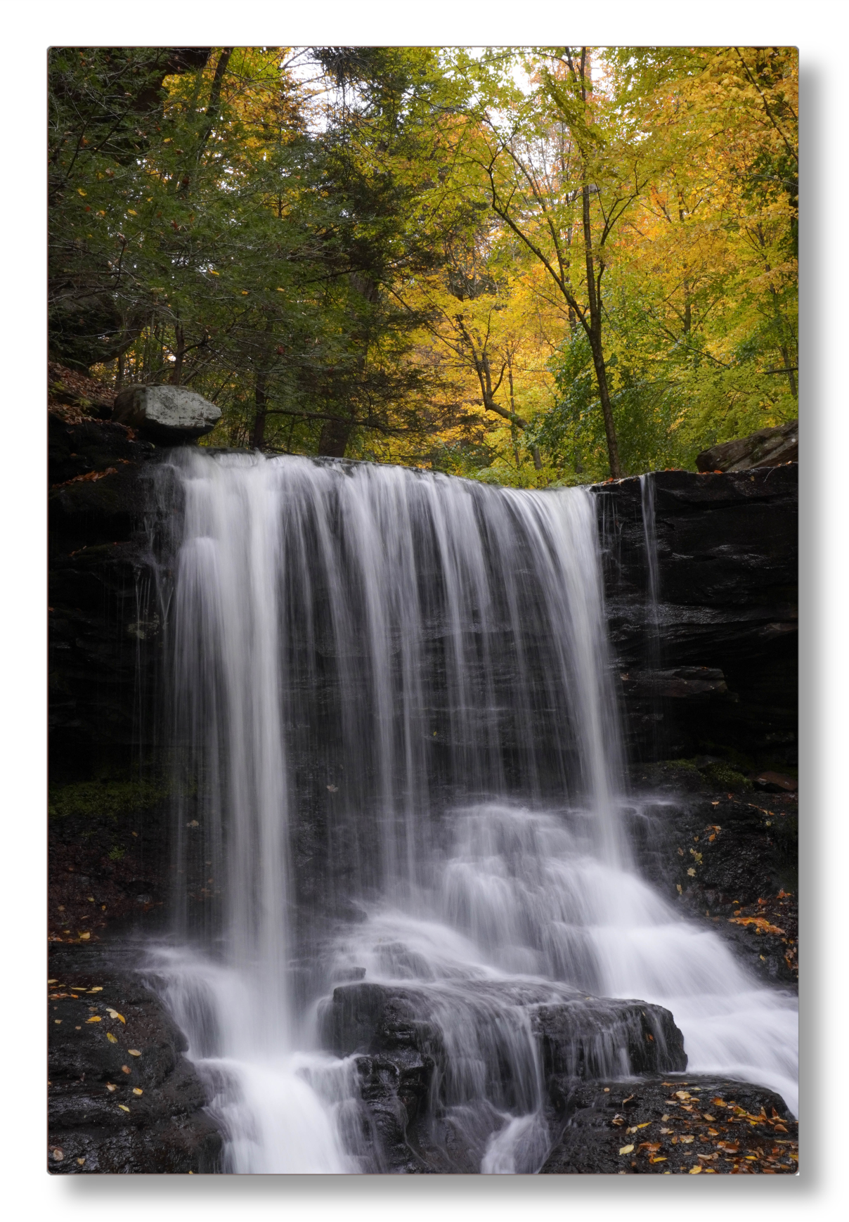 B. Reynolds Falls