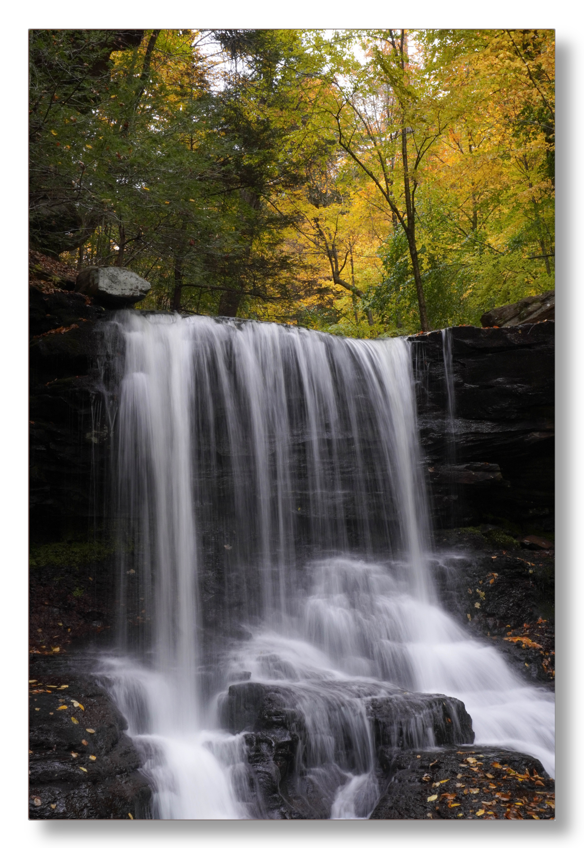 B. Reynolds Falls