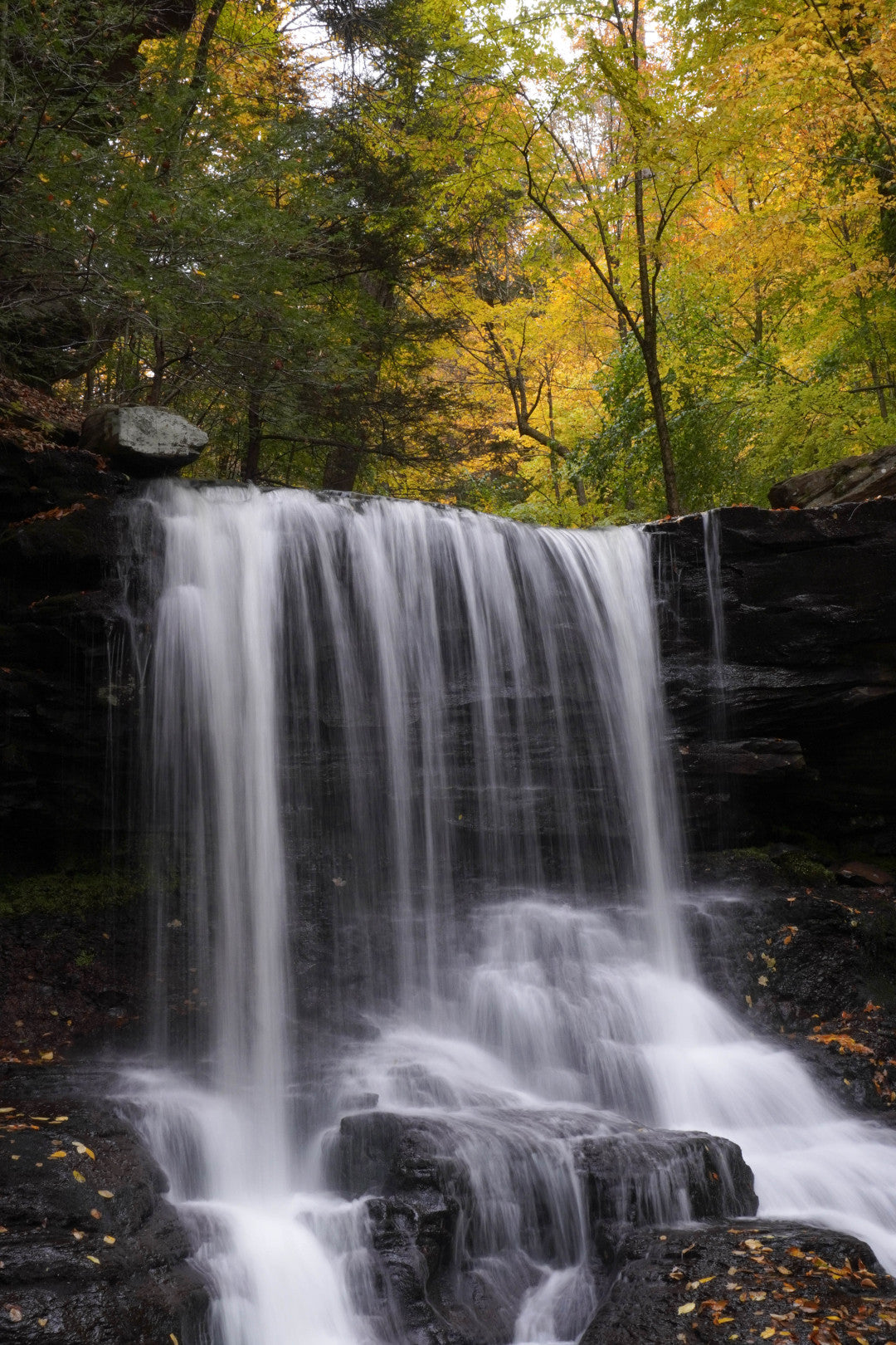 B. Reynolds Falls