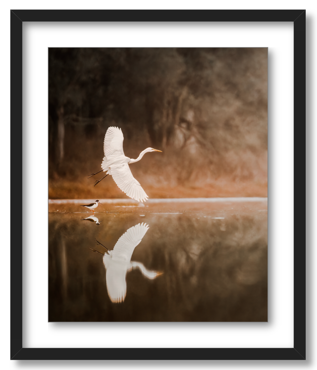 "Egret in Flight"