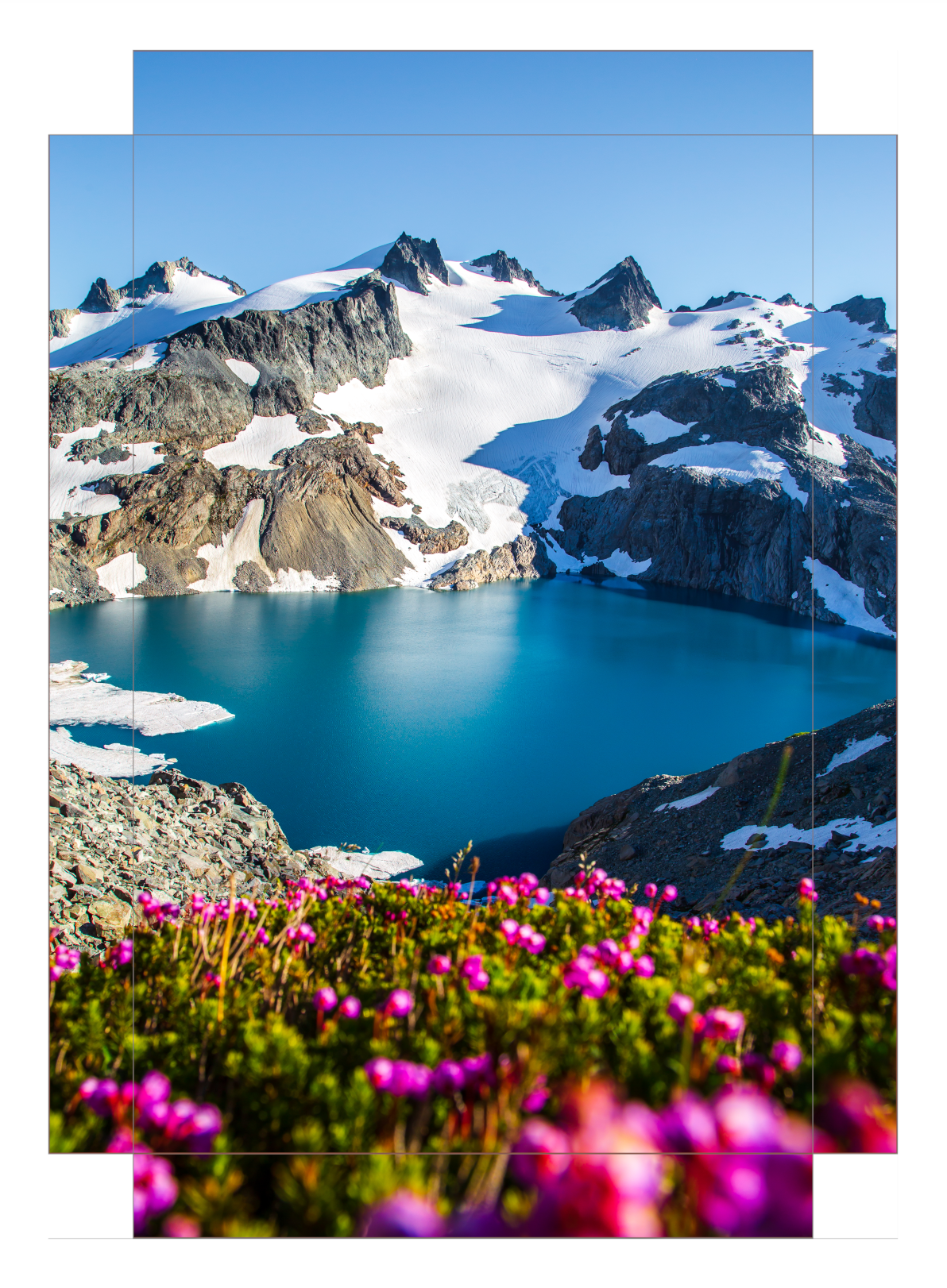 Glacial Lake Wildflowers