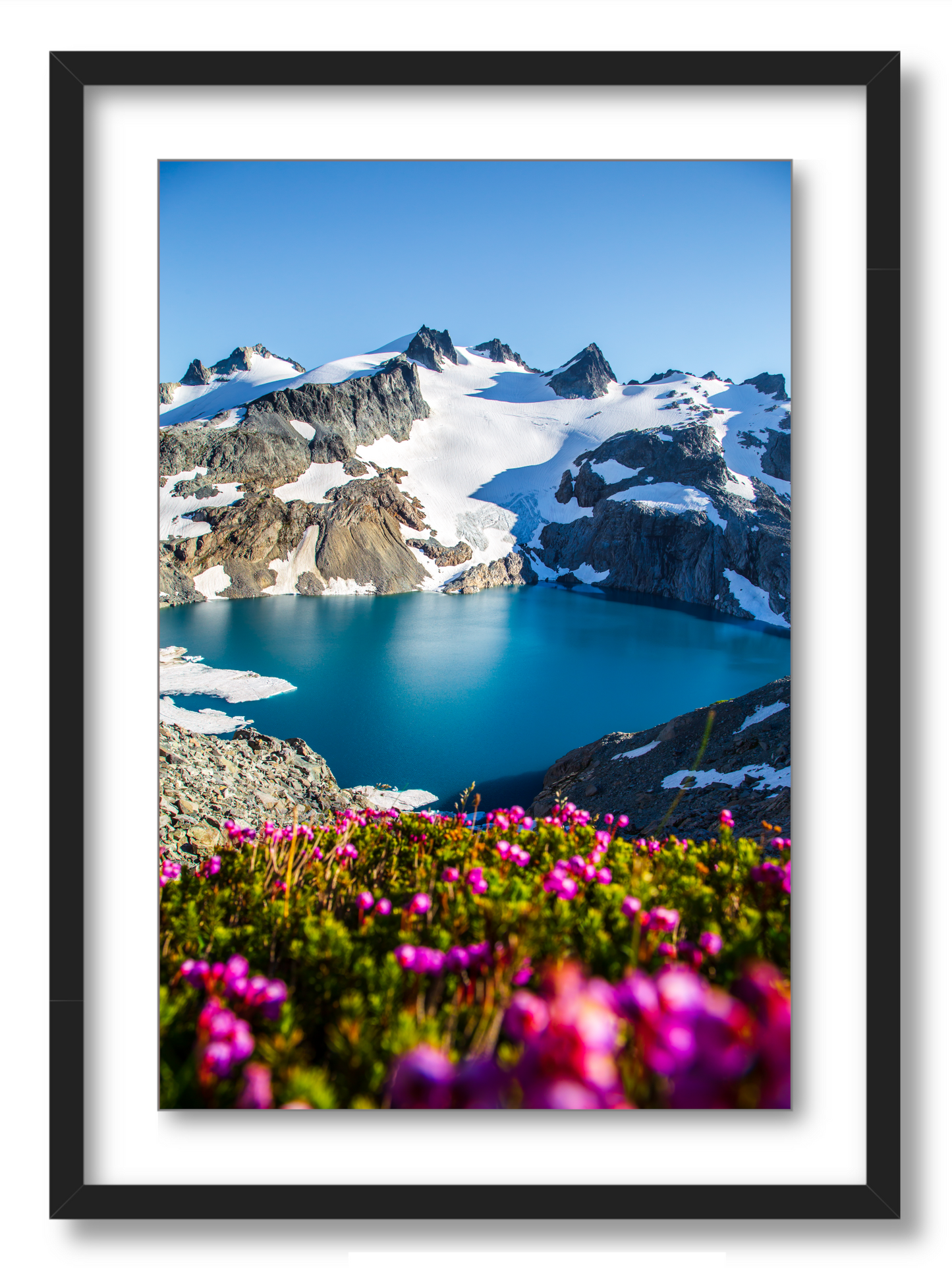 Glacial Lake Wildflowers