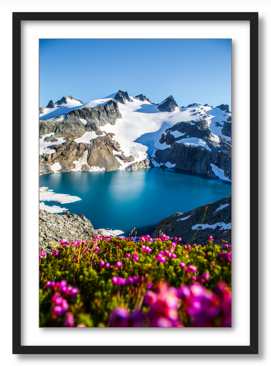 Glacial Lake Wildflowers