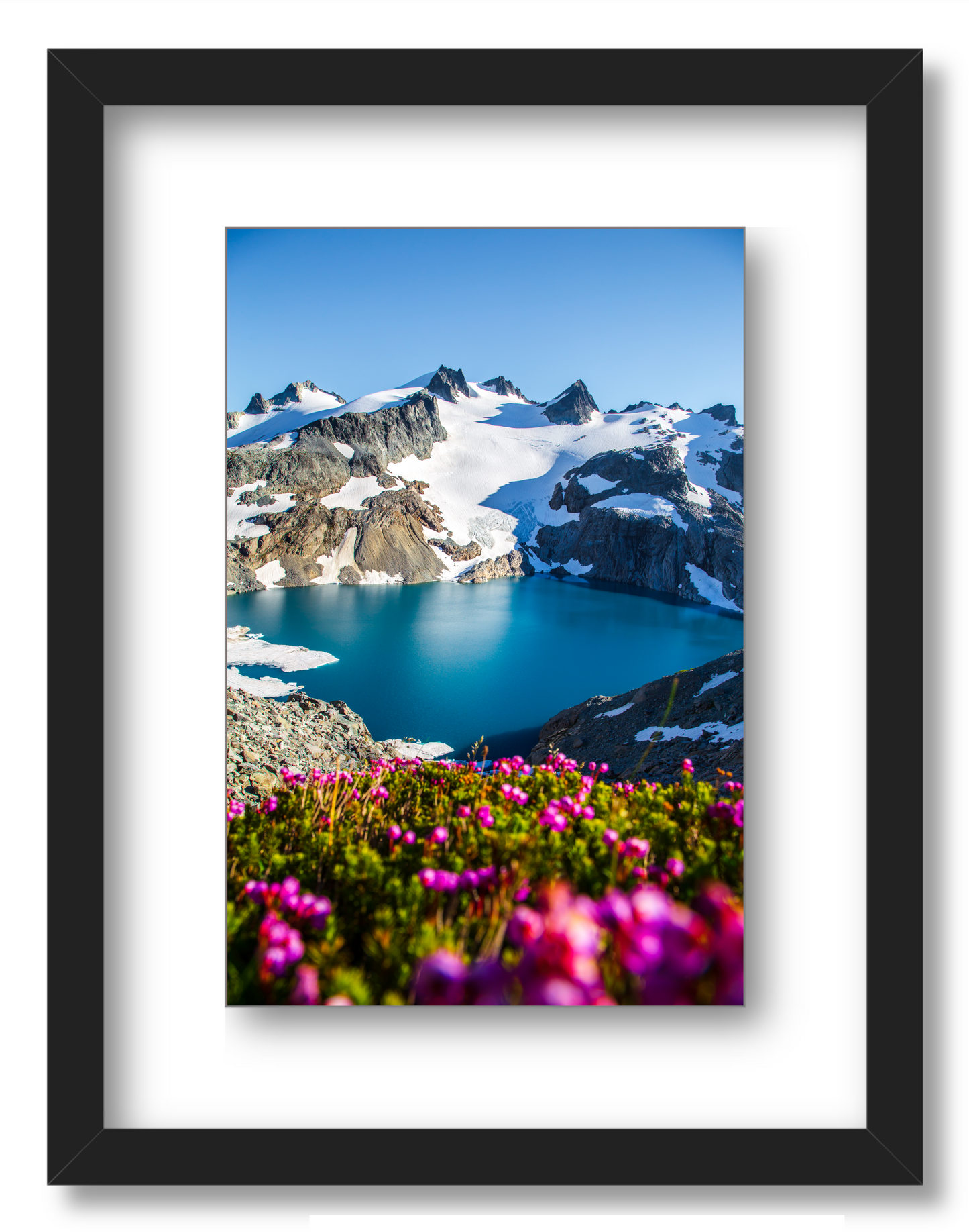 Glacial Lake Wildflowers