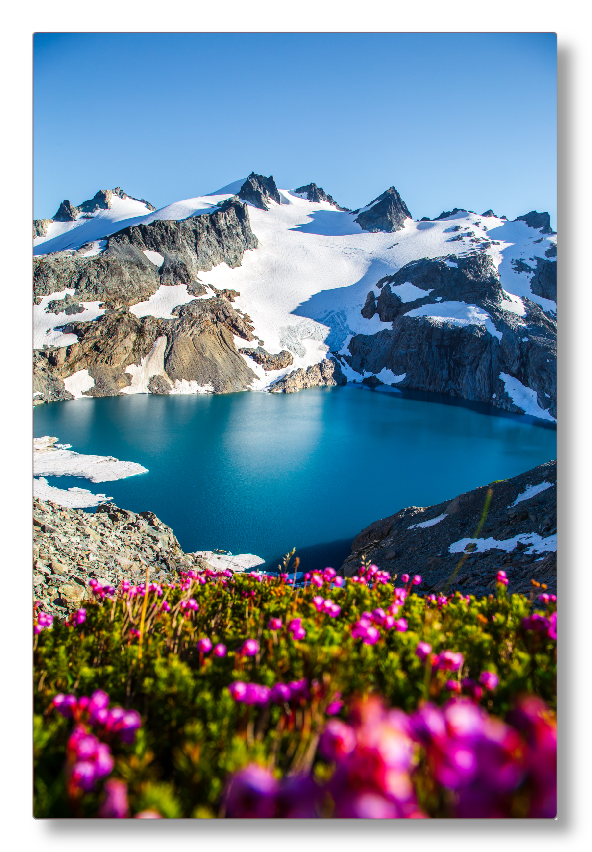 Glacial Lake Wildflowers