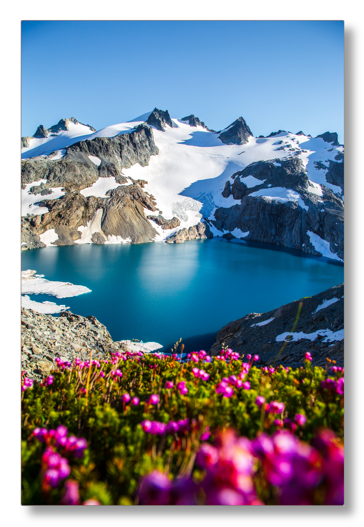 Glacial Lake Wildflowers