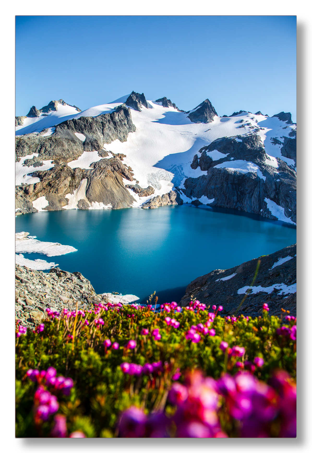 Glacial Lake Wildflowers