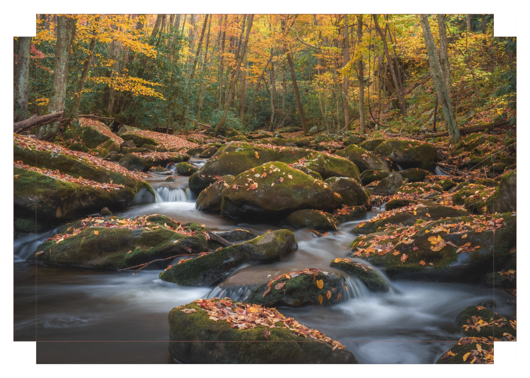 Autumn in the Smokies