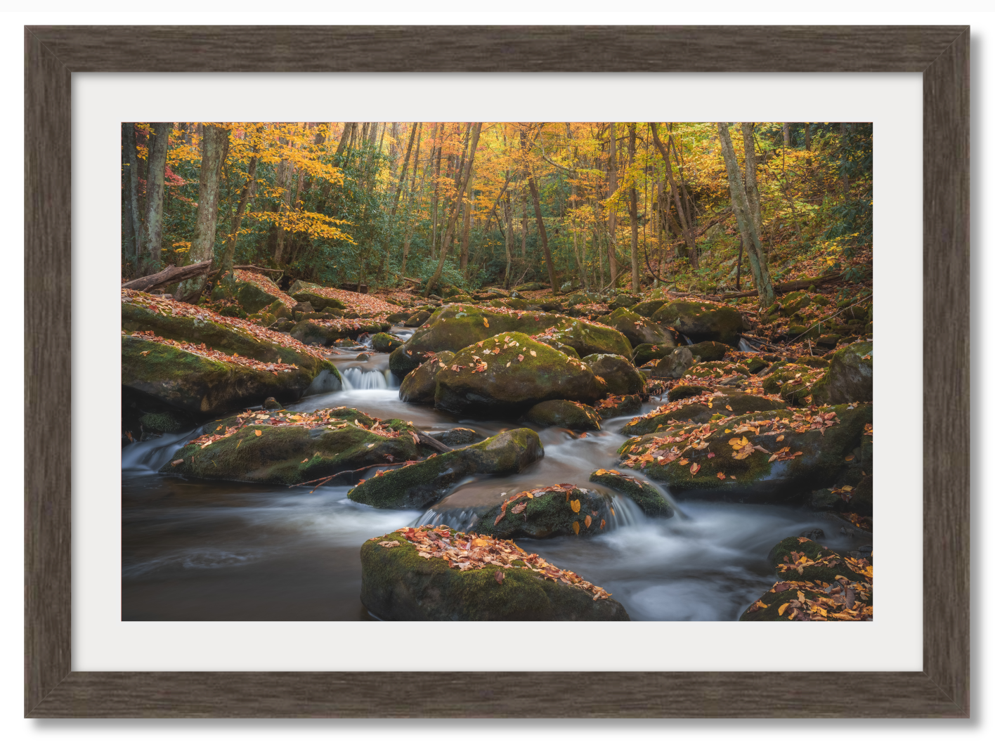 Autumn in the Smokies