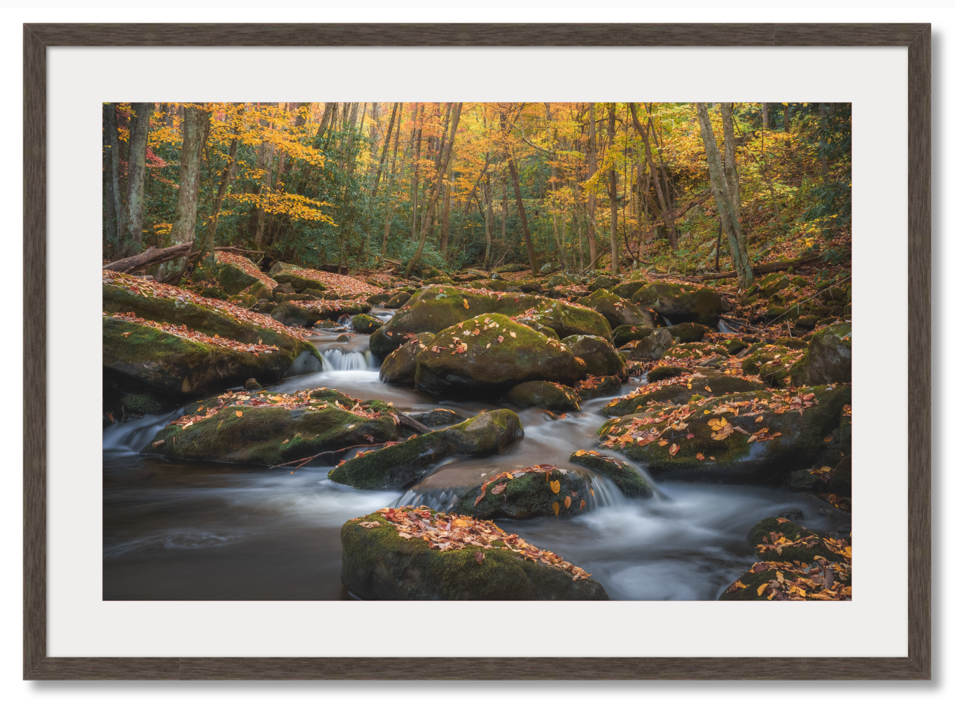 Autumn in the Smokies