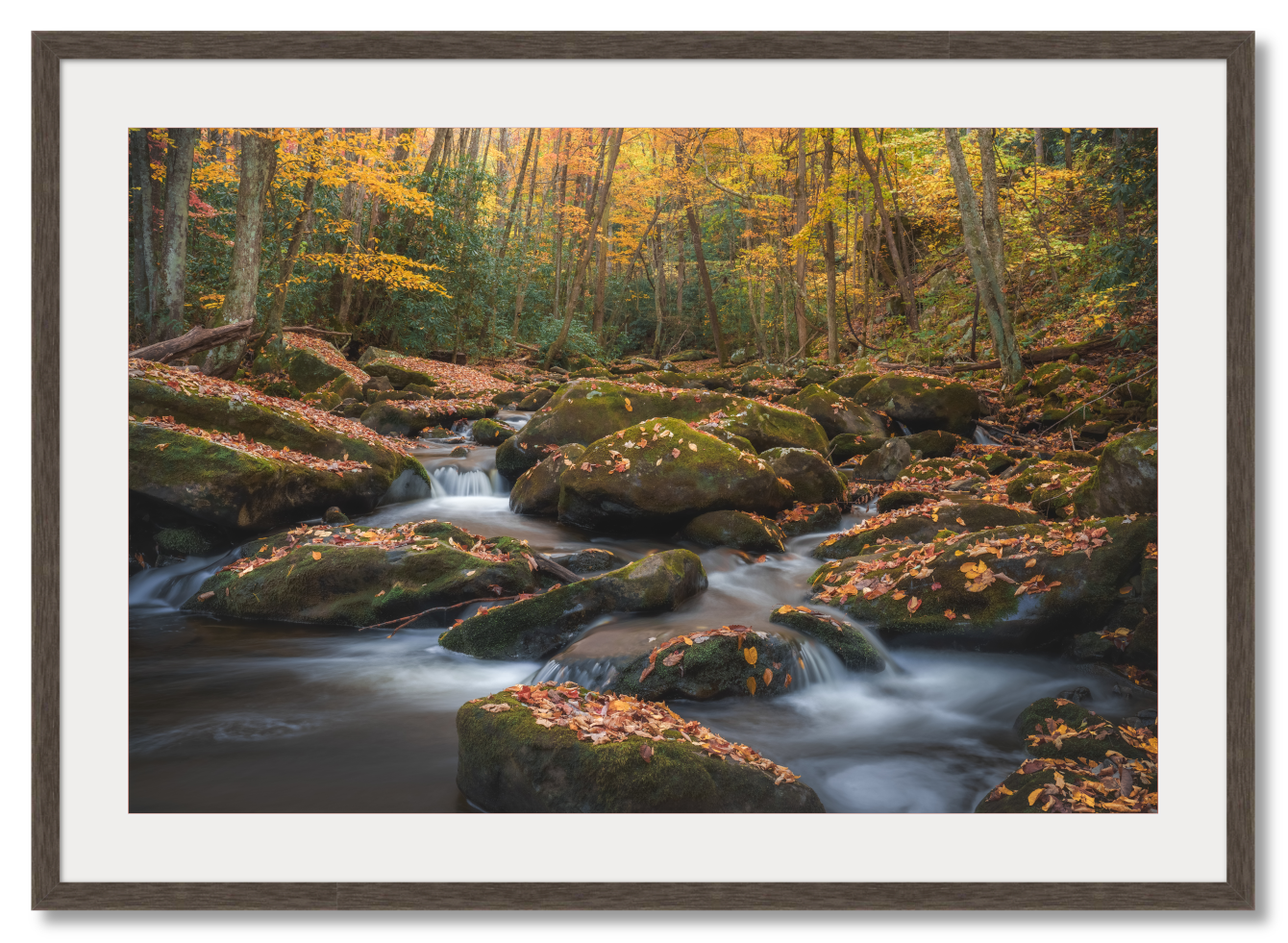 Autumn in the Smokies