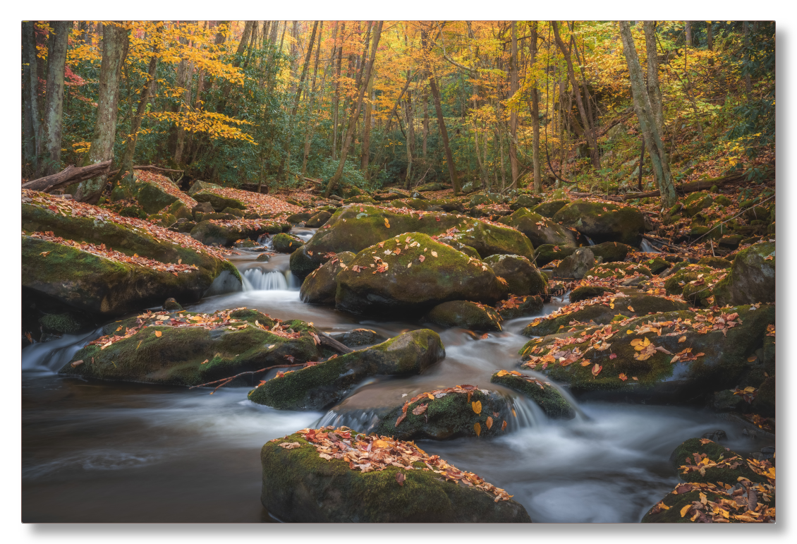 Autumn in the Smokies