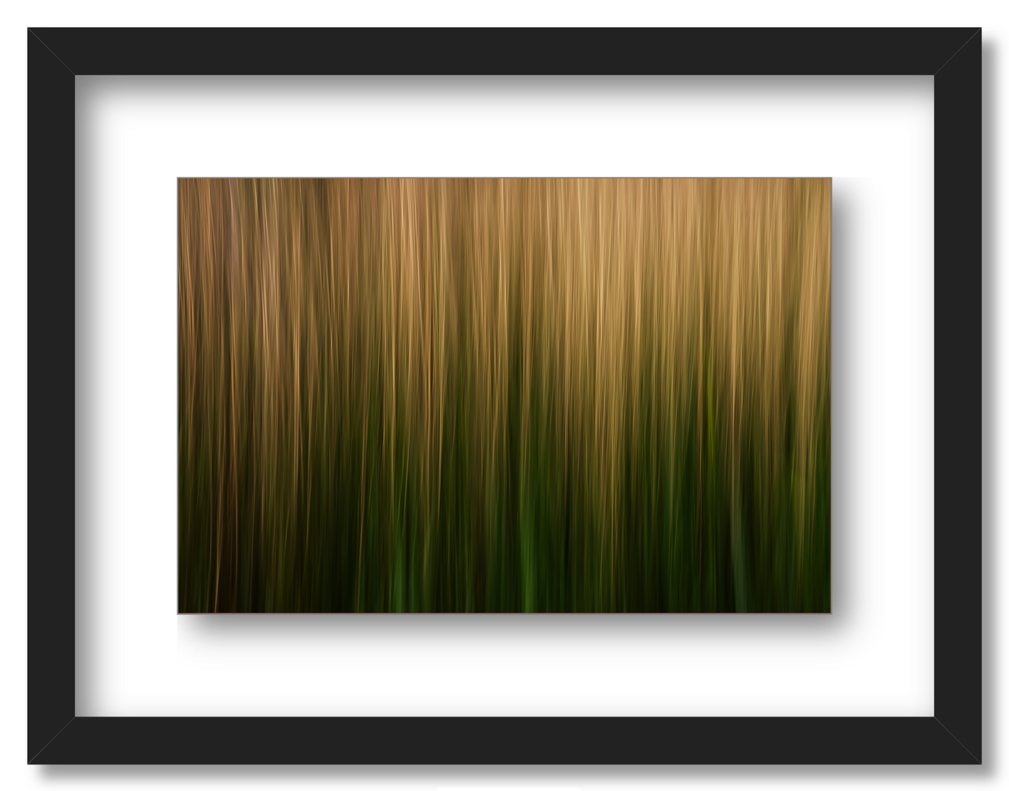 Streaks of Grass