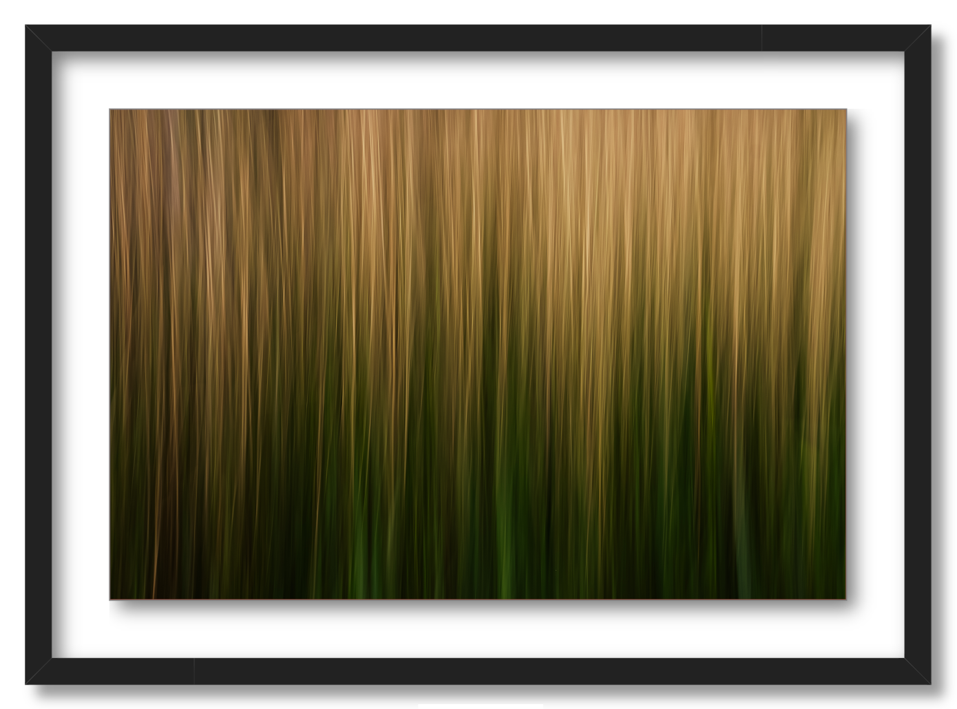 Streaks of Grass