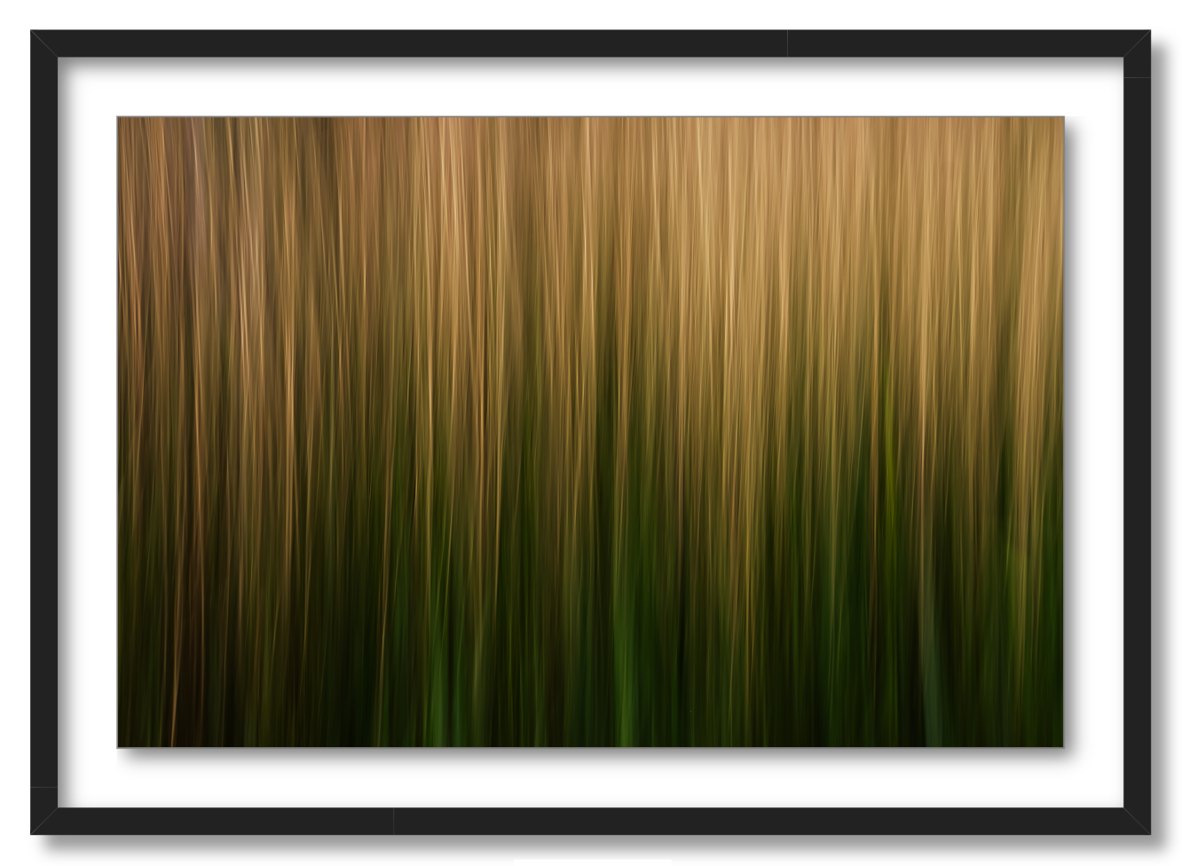 Streaks of Grass