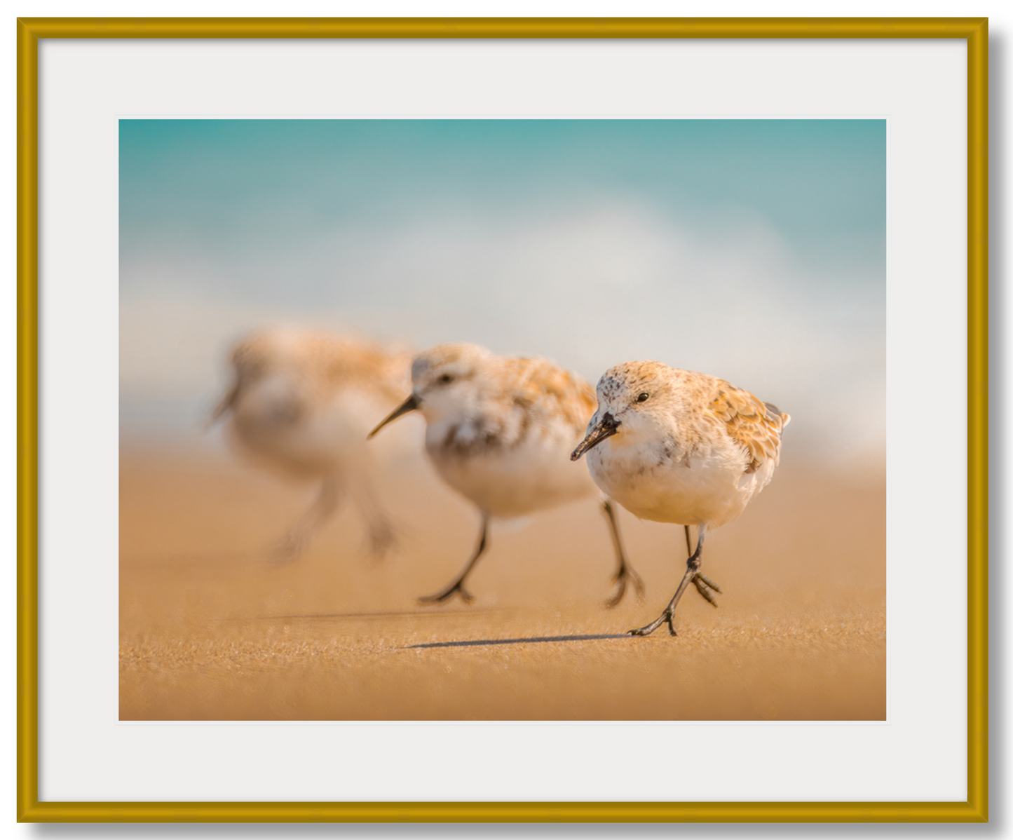 "The Sanderlings"