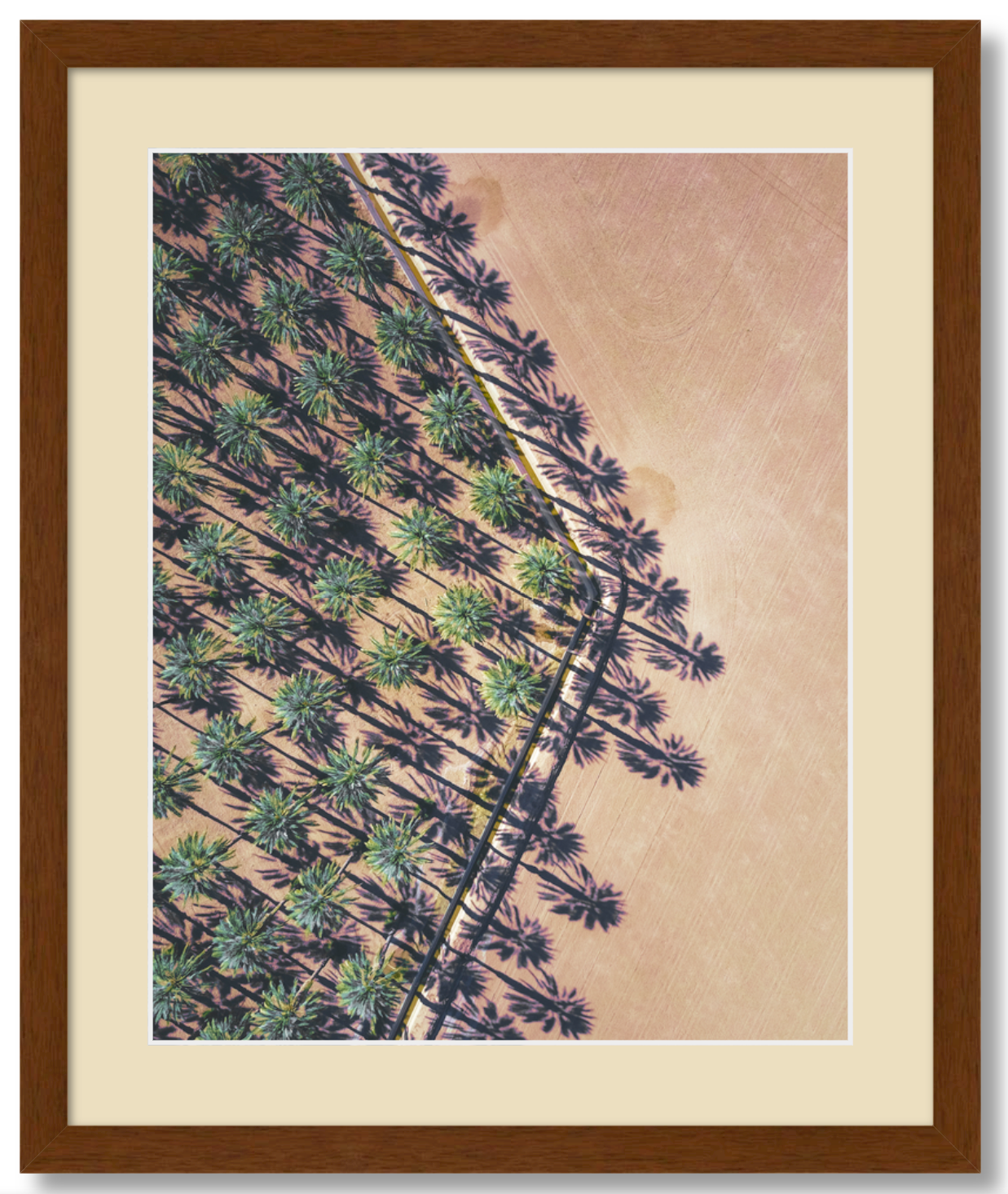 Date Palms