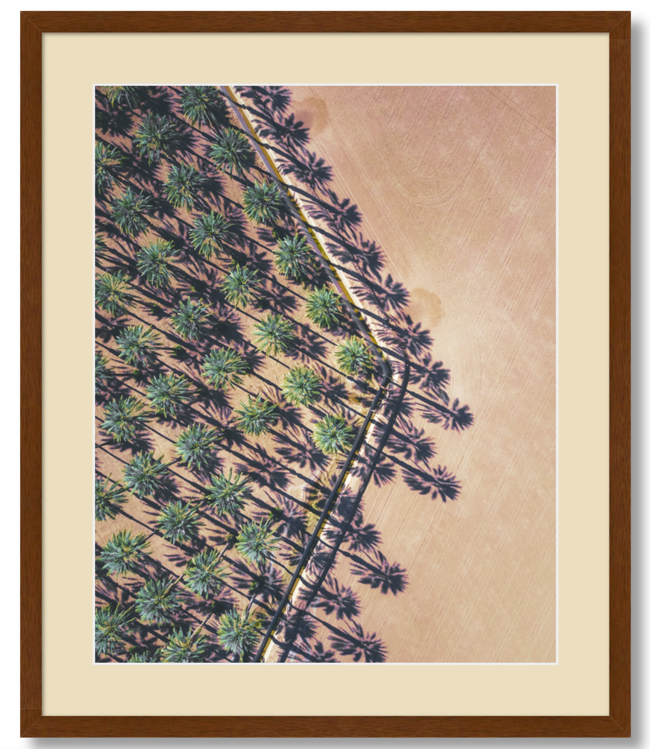 Date Palms