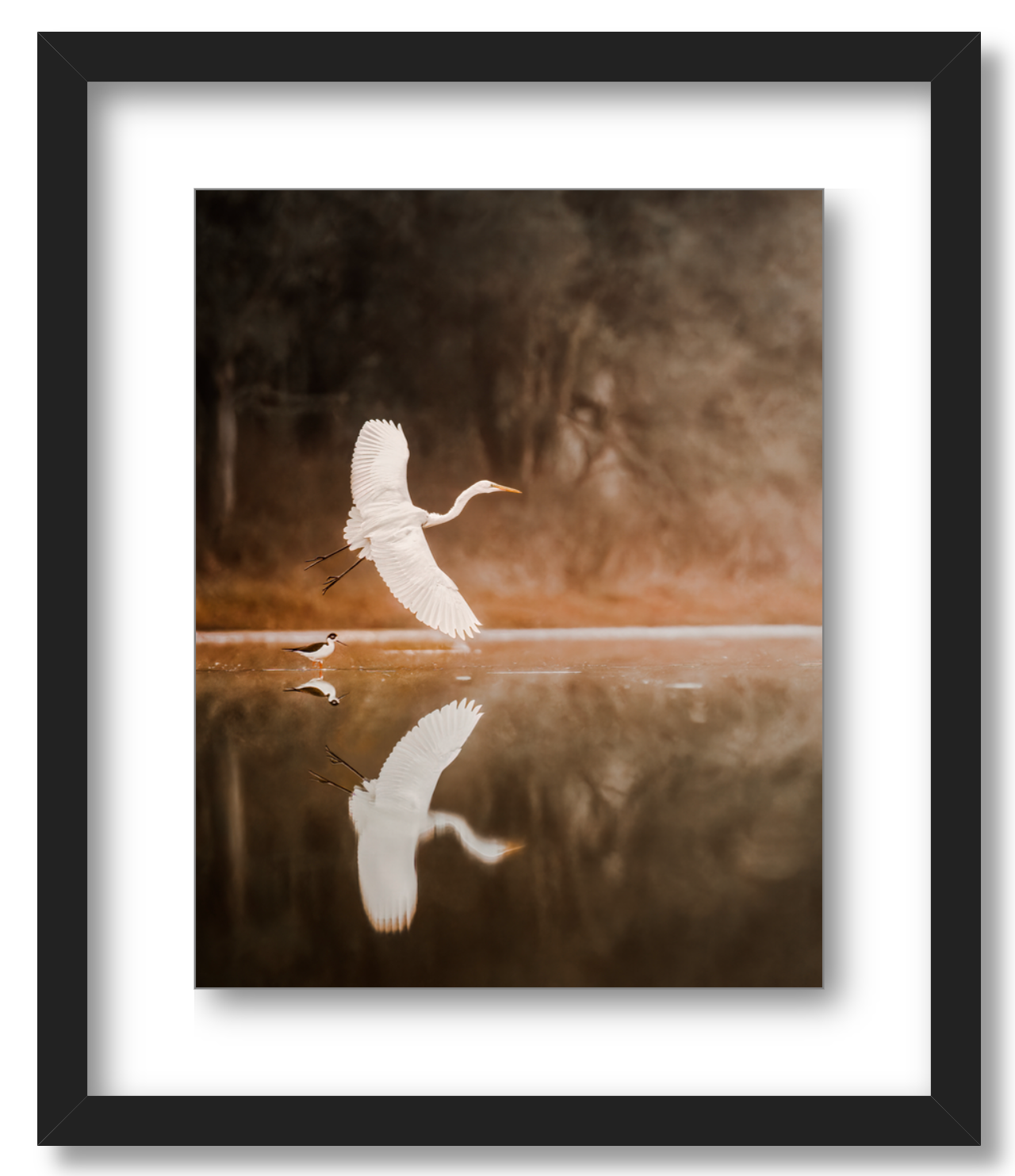 "Egret in Flight"