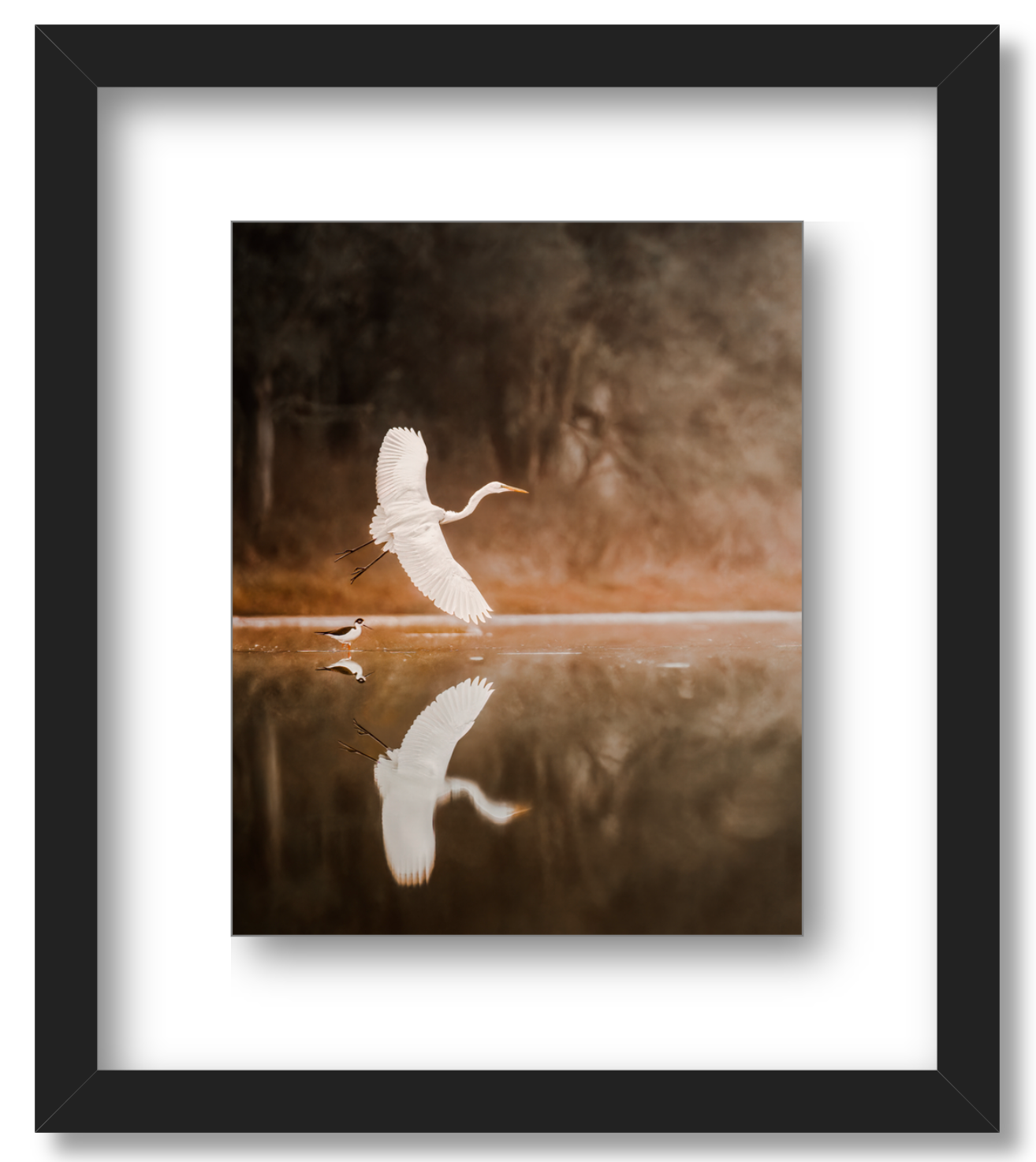 "Egret in Flight"