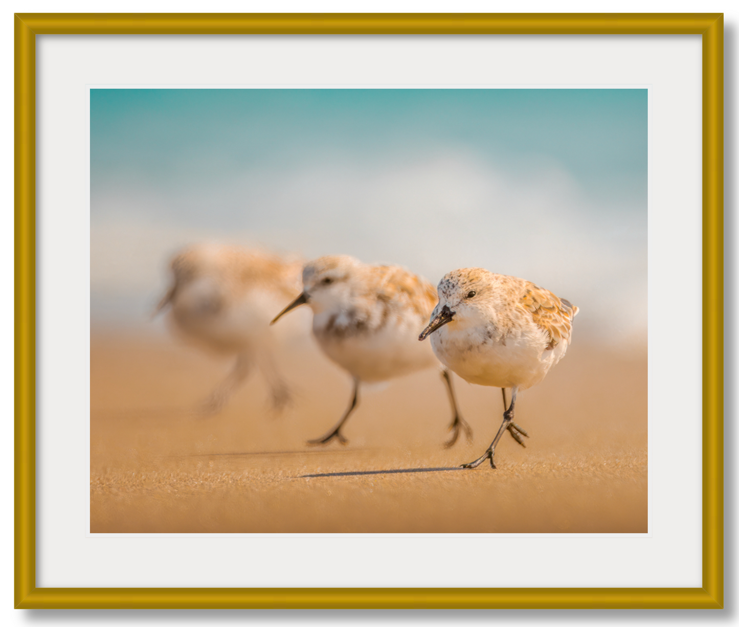 "The Sanderlings"