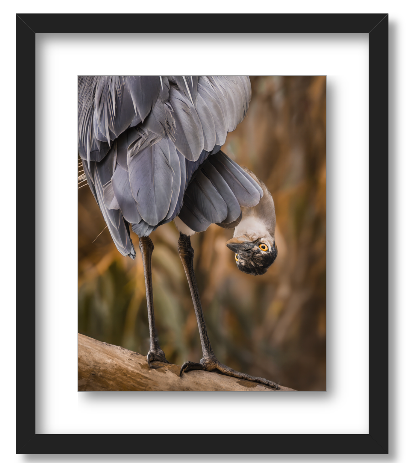 'Upside Down Lookout'