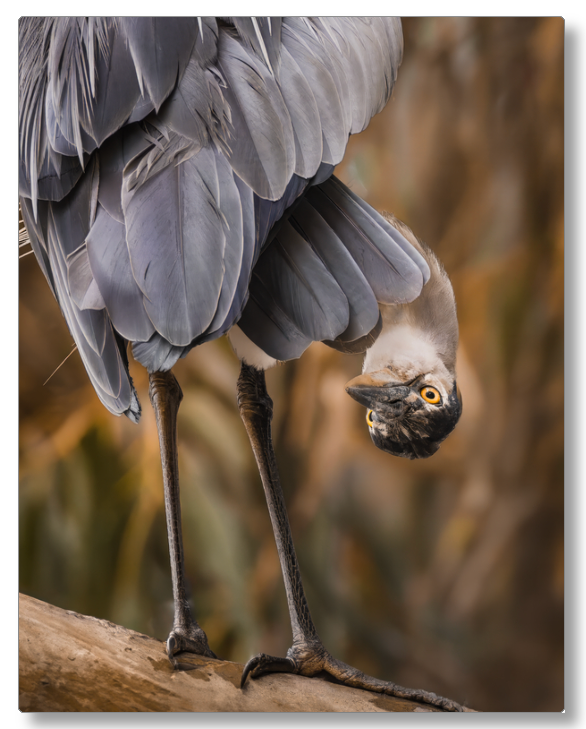 'Upside Down Lookout'